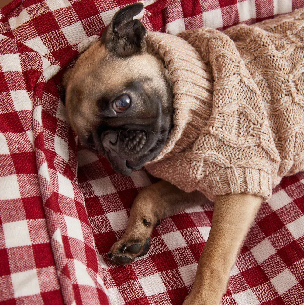 Cuddly Cable Sweater